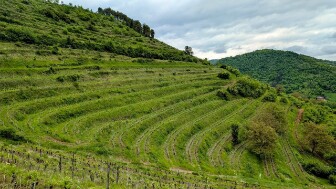 2025 05 06- J3- marcillac vallon- combret - 02