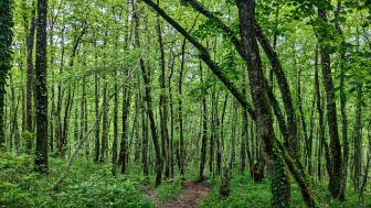 2025 05 06- J3- marcillac vallon- combret - 10